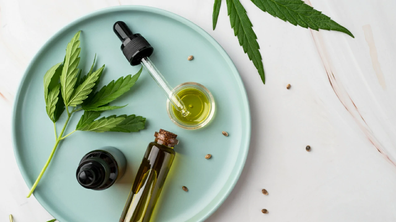 Primer plano de una planta de cannabis en crecimiento
