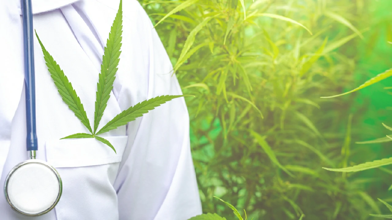 Marihuana médica, concepto de medicina herbal alternativa.